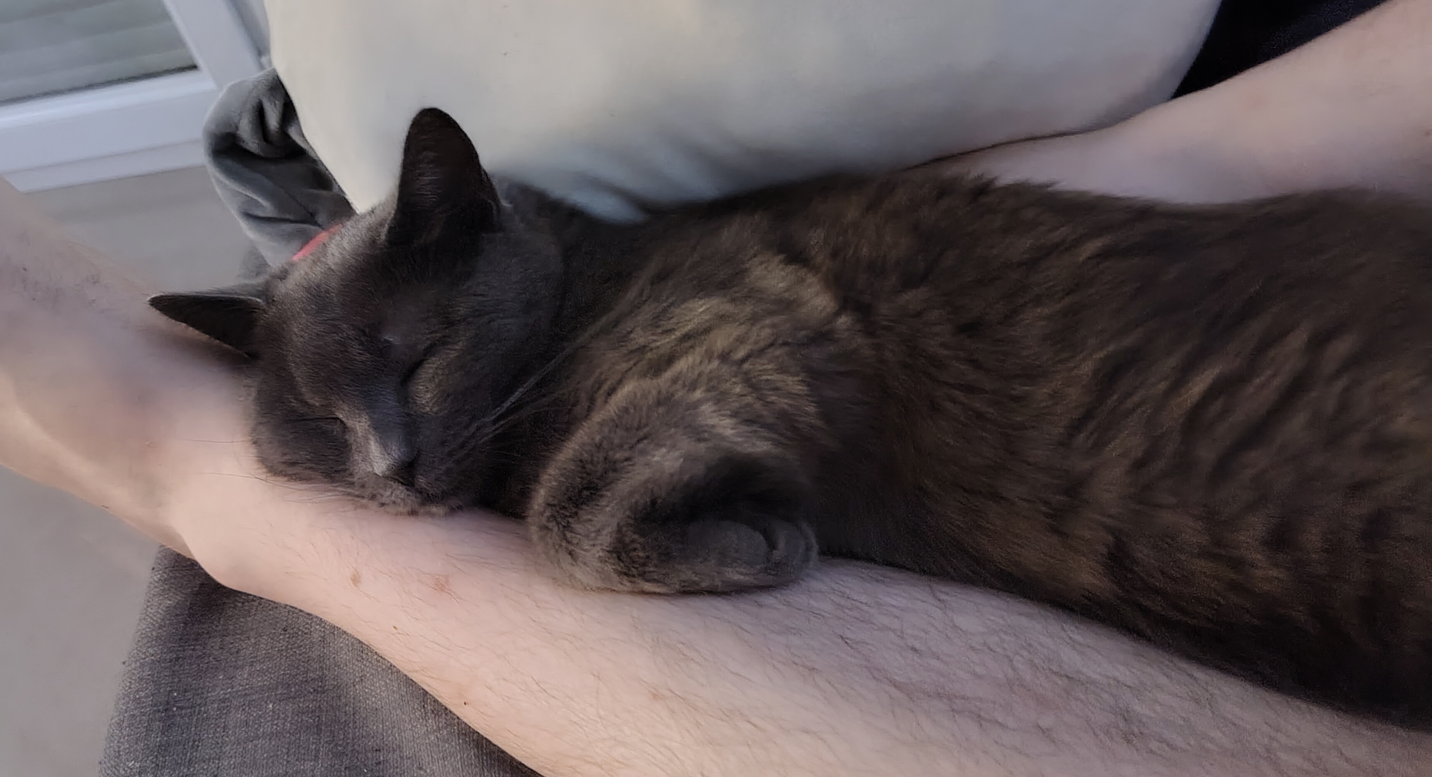 my cat sleeping on my feet